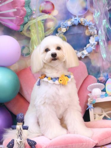 20240810風太郎くん